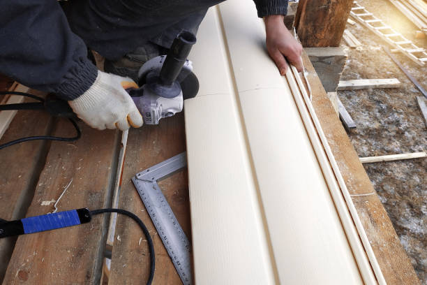 Best Siding Painting and Refinishing  in Dayton, MN